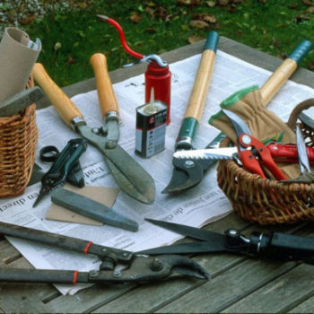 Préservez et entretenir les outils de jardin